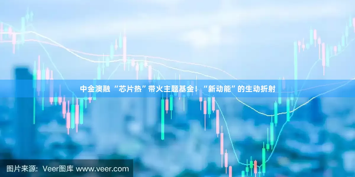 中金澳融 “芯片热”带火主题基金！“新动能”的生动折射