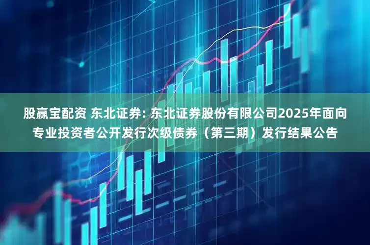 股赢宝配资 东北证券: 东北证券股份有限公司2025年面向专业投资者公开发行次级债券(第三期)发行结果公告